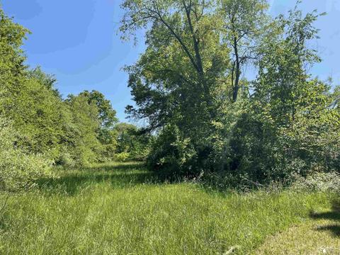 46675 Willis Rd, Belleville, MI 48111 photo 15