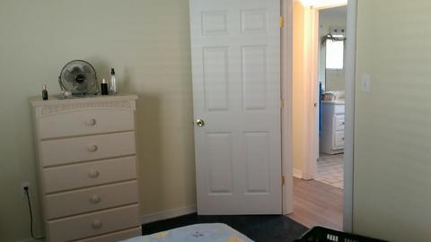 3167 Lakeshore, Gladwin, MI 48624 photo 53