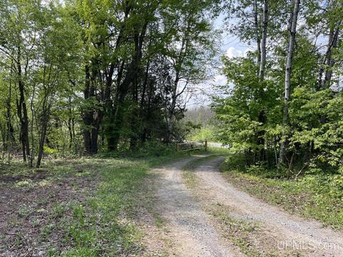 13850 Old M28, Covington, MI 49919 photo 37