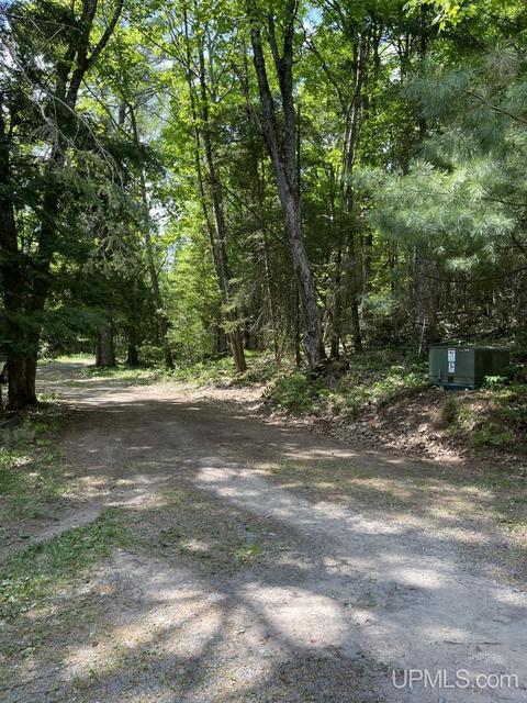 13850 Old M28, Covington, MI 49919 photo 36