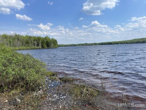 13850 Old M28, Covington, MI 49919 photo 27