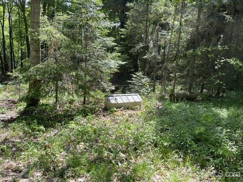 13850 Old M28, Covington, MI 49919 photo 34