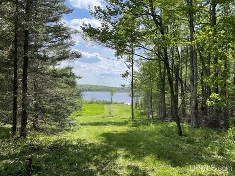 13850 Old M28, Covington, MI 49919 photo 25