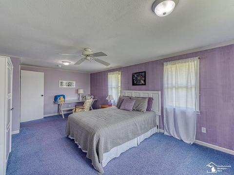 2939 Geiger, Ida, MI 48140 photo 25