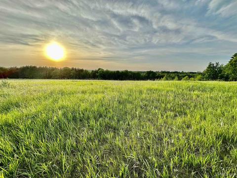 Tbd Morningside, Carney, MI 49812