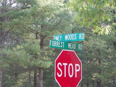 211 Piney Woods Rd, Harrison, MI 48625 photo 4