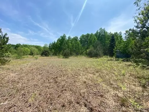 000 Tope, Mancelona, MI 49659