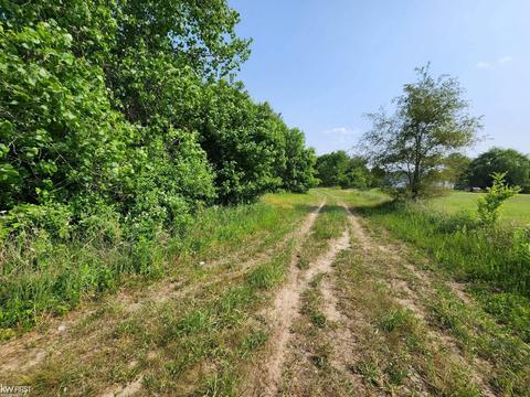 4469 E Mount Morris Rd, Mount Morris, MI 48458 photo 28