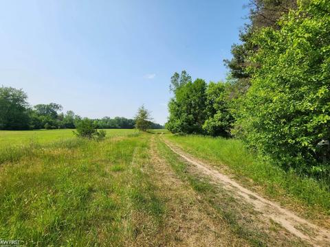 4469 E Mount Morris Rd, Mount Morris, MI 48458 photo 35