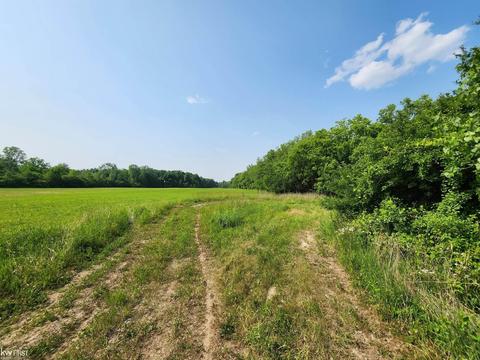 4469 E Mount Morris Rd, Mount Morris, MI 48458 photo 38
