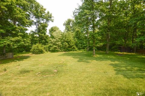 10330 Steffas, Maybee, MI 48159 photo 31
