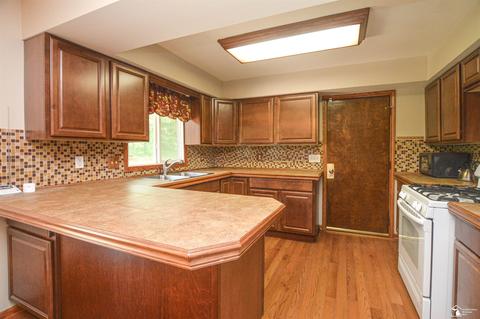 10330 Steffas, Maybee, MI 48159 photo 9