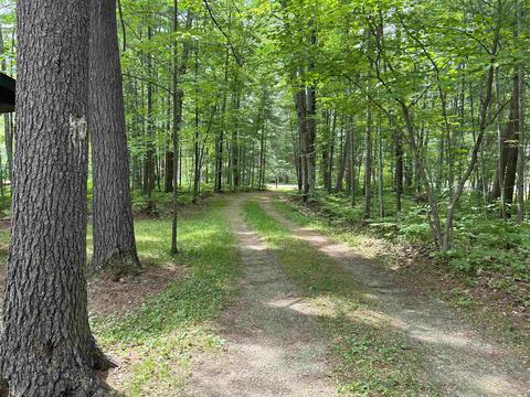 101 Deer Run, Gladwin, MI 48624 photo 12