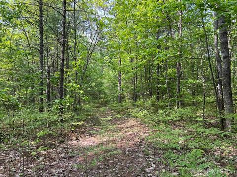 Tbd Powell Lake, Wetmore, MI 49895