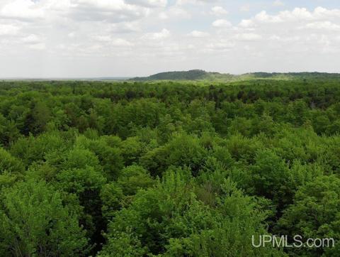 Tbd 23ac Lot 65 & 66 Brown, Nisula, MI 49952