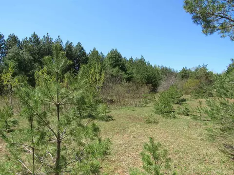 40 Acres Off Snowmobile Trail 133, Mohawk, MI 49950