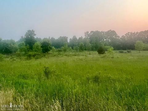 Durand, Durand, MI 48429