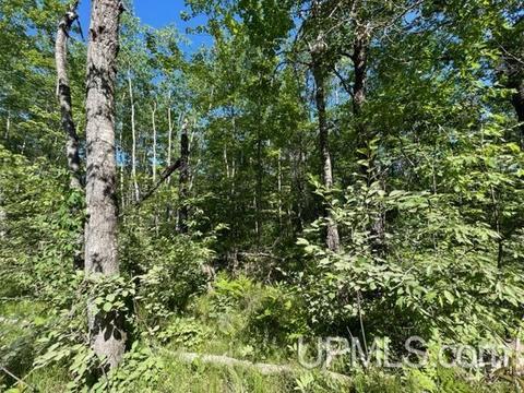 Tbd Woodpecker Rd, Beecher T-wi, WI 54156