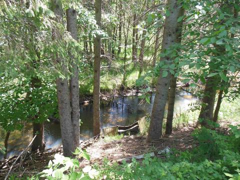10 E Acres E Stockwell, Gladwin, MI 48624 photo 9