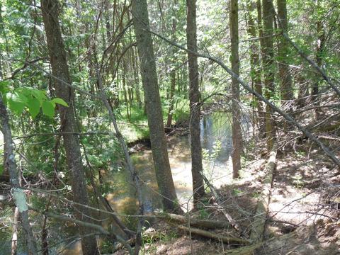 10 E Acres E Stockwell, Gladwin, MI 48624 photo 8