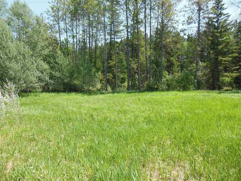 10 E Acres E Stockwell, Gladwin, MI 48624 photo 14