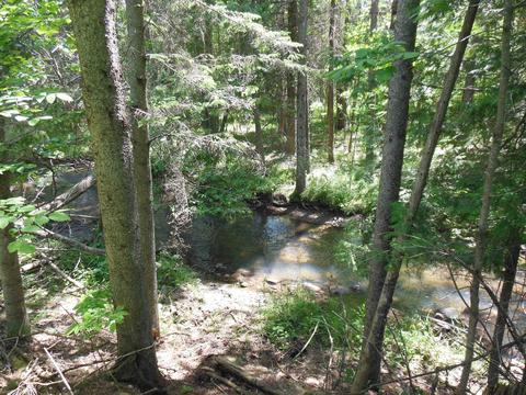 10 E Acres E Stockwell, Gladwin, MI 48624 photo 6