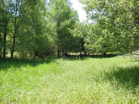 10 E Acres E Stockwell, Gladwin, MI 48624 photo 12