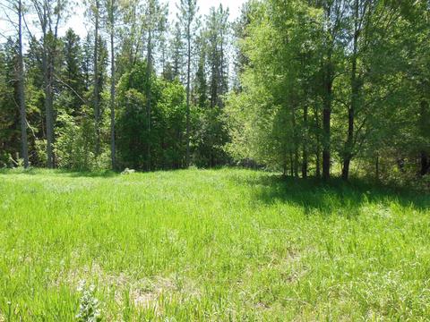 10 E Acres E Stockwell, Gladwin, MI 48624 photo 13