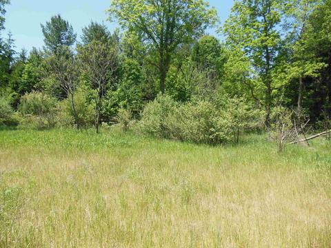 10 E Acres E Stockwell, Gladwin, MI 48624 photo 11