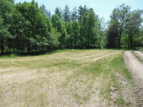 10 E Acres E Stockwell, Gladwin, MI 48624 photo 16