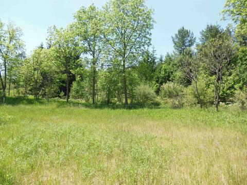 10 E Acres E Stockwell, Gladwin, MI 48624 photo 10