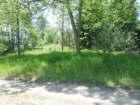 10 E Acres E Stockwell, Gladwin, MI 48624 photo 17