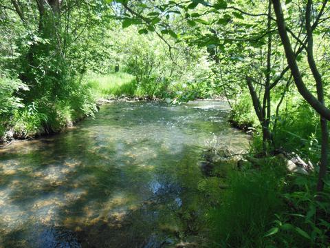 10 E Acres E Stockwell, Gladwin, MI 48624