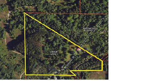 10 E Acres E Stockwell, Gladwin, MI 48624 photo 19