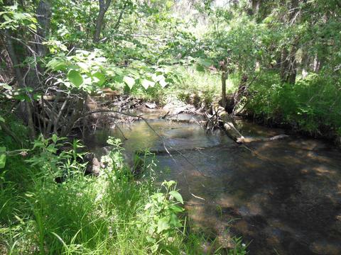 10 E Acres E Stockwell, Gladwin, MI 48624 photo 7
