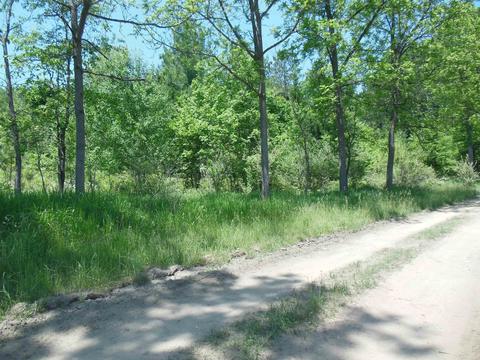 10 E Acres E Stockwell, Gladwin, MI 48624 photo 15