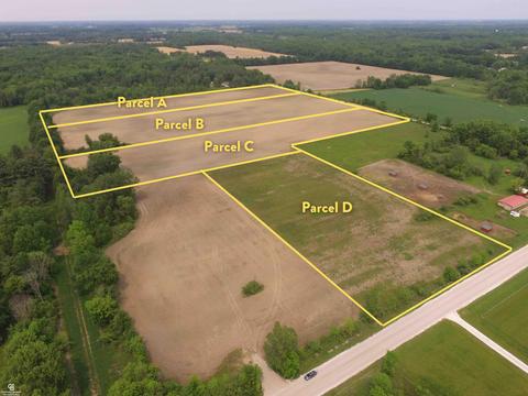 Parcel D Foley, Emmett, MI 48022