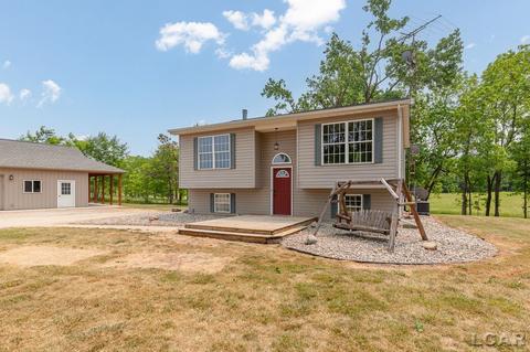 7401 Teachout, Onsted, MI 49265