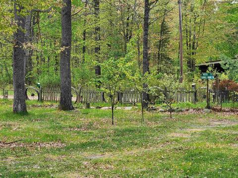 330 Pine, Harrison, MI 48625 photo 50