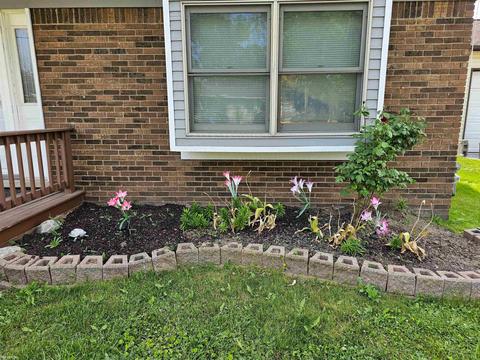 7316 Edlane, Algonac, MI 48001 photo 10