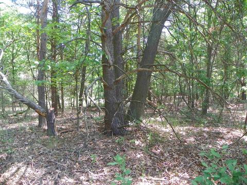 Tbd Byfield, Harrison, MI 48625 photo 7