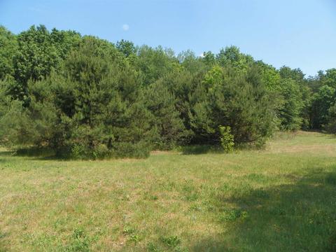 Tbd Byfield, Harrison, MI 48625 photo 4