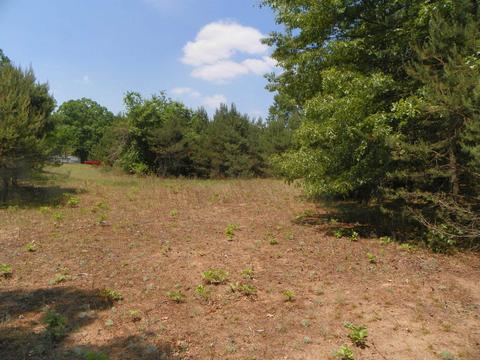 Tbd Byfield, Harrison, MI 48625 photo 8