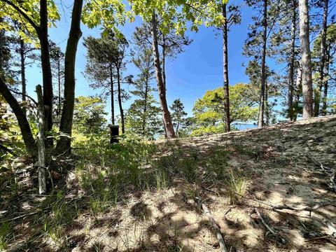 8112 Sand Dune, Eagle Harbor, MI 49950 photo 3