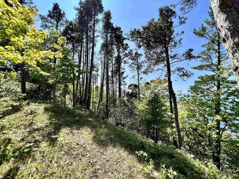 8112 Sand Dune, Eagle Harbor, MI 49950 photo 14