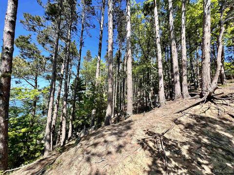 8112 Sand Dune, Eagle Harbor, MI 49950 photo 11