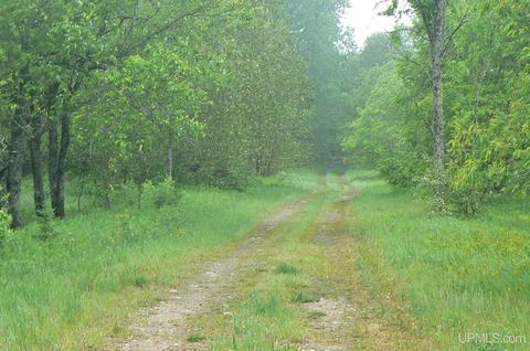 E2783 Sipila, Trenary, MI 49891