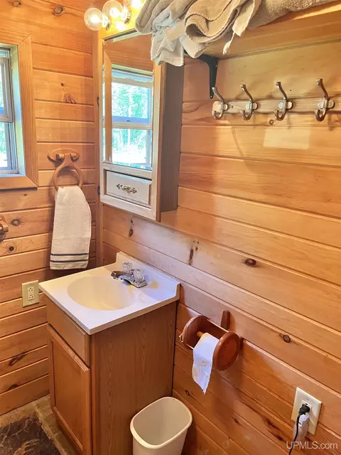 2617 Sai, Cornell, MI 49818 photo 8
