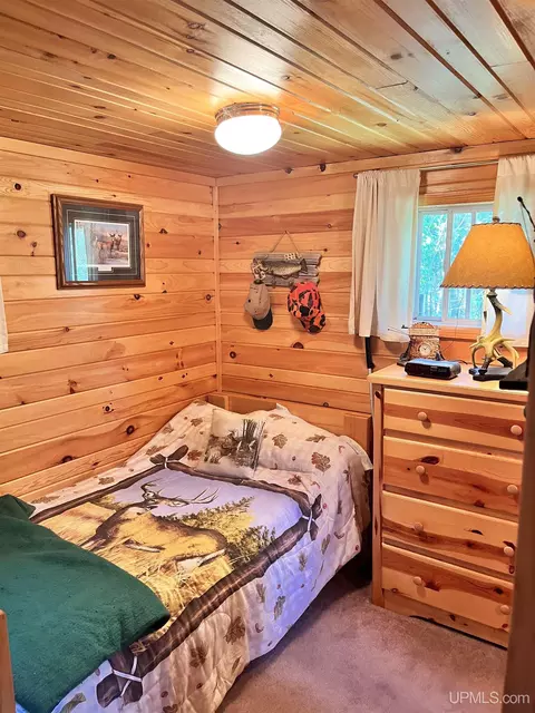 2617 Sai, Cornell, MI 49818 photo 10