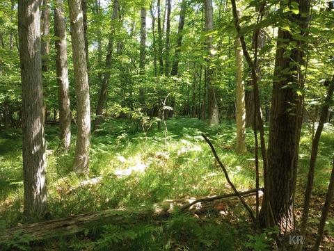 Lot 9 White Birch, Farwell, MI 48622